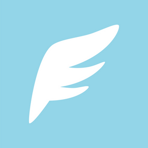 Flug